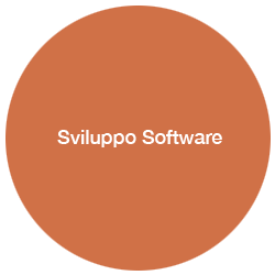 Sviluppo Software